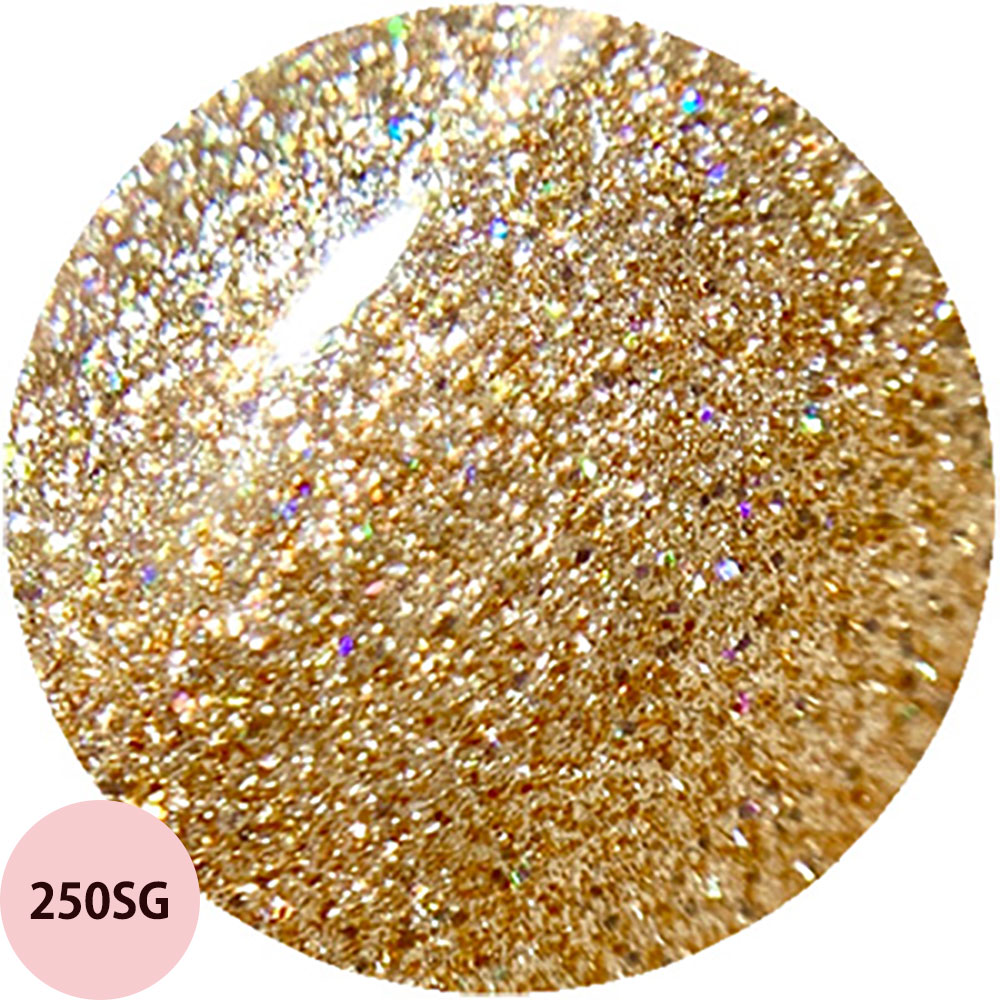 ジェルグラフ カラージェル （219SG〜259SG） / 5g （定形外 対応