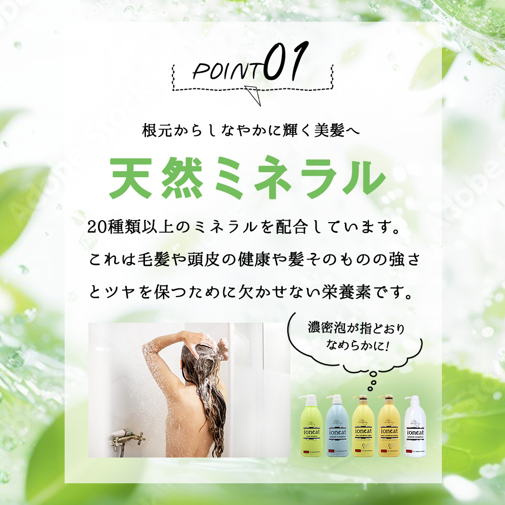 ioneat バン インターナショナル イオニート エッセンスVシャンプー
