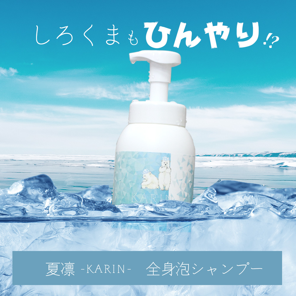 シャンプー クール KARIN 夏凛 全身シャンプー 600mL ミント