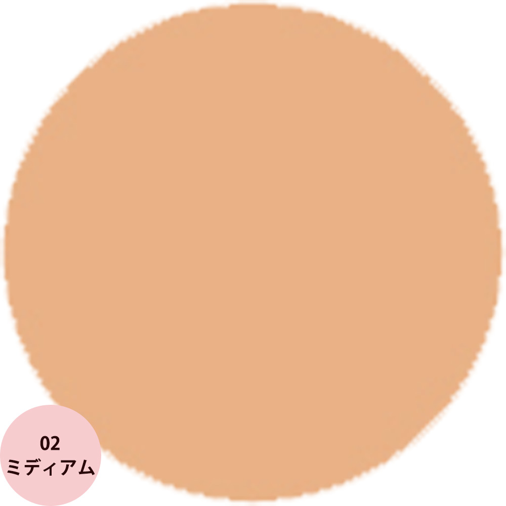 アンリサンク 2WAY ファンデーション H レフィル 全2色 メイクアップ パウダーファンデーション カバー ケーキ サロン専売品 Henri V メール便 対応 ARIMINO | アンリサンク | 02