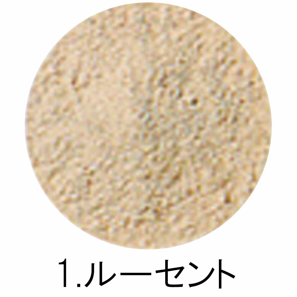 オリリー エクステイジ ルースパウダー 40gリフィル 全2色 詰め替え用 フェイスパウダー メイクアップ サロン専売品 化粧品 O'LEARY | O'LEARY | 01