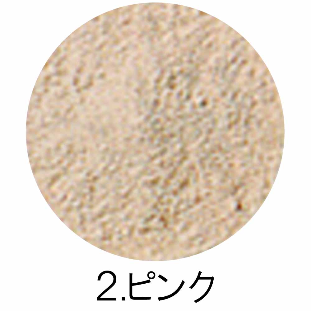 オリリー エクステイジ ルースパウダー 40gリフィル 全2色 詰め替え用 フェイスパウダー メイクアップ サロン専売品 化粧品 O'LEARY | O'LEARY | 02