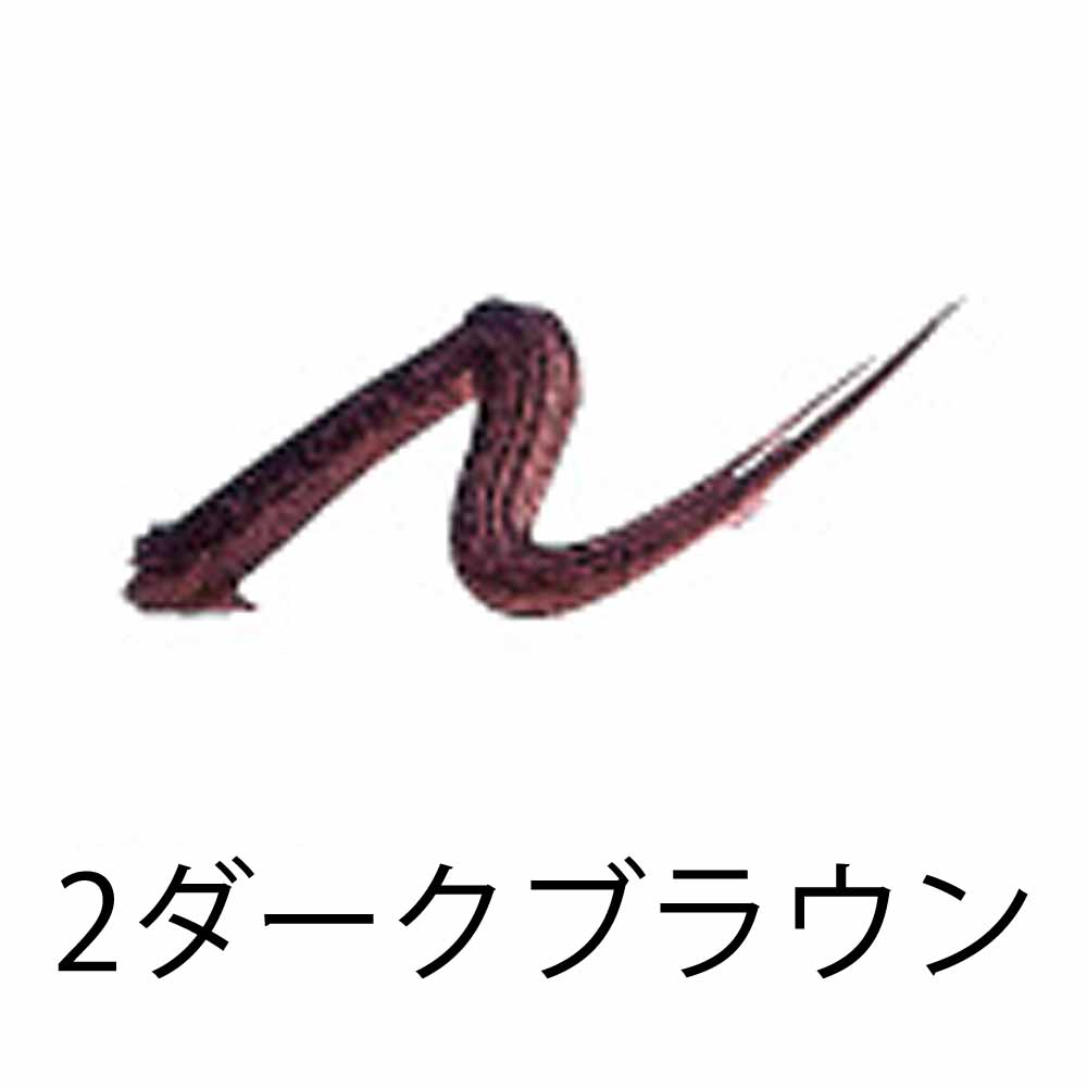 オリリー サロンプロメイク リキッドアイライナー 全2色 リキッドタイプ アイメイク メイクアップ サロン専売品 化粧品 メール便 対応 O'LEARY | O'LEARY | 02