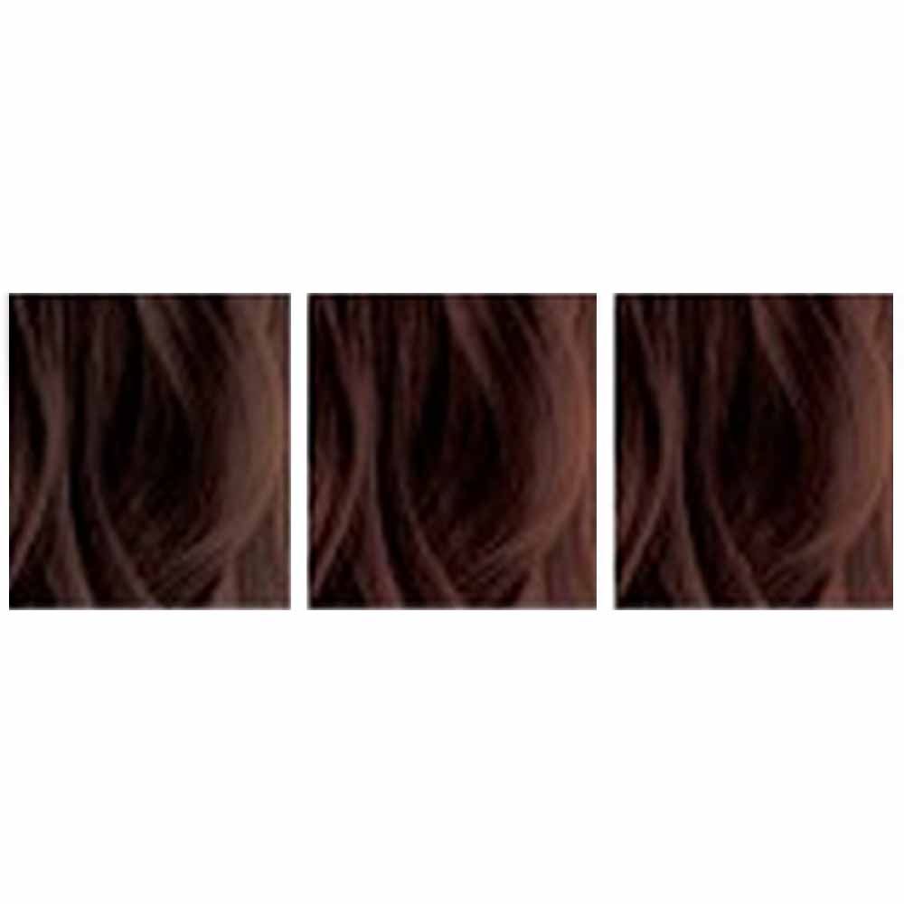 パイモア スペクトラムカラーズ / 200g | SPECTRUM COLORS | 19