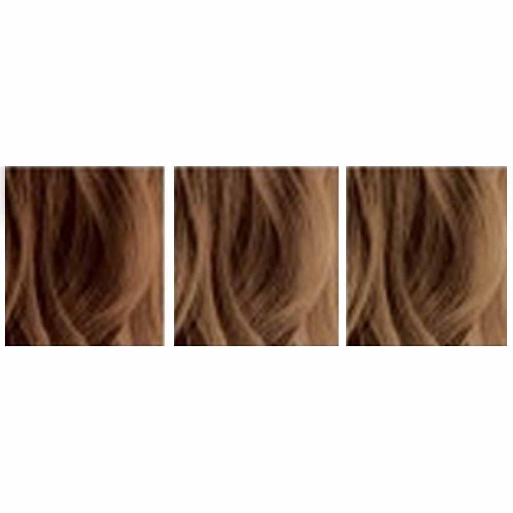 パイモア スペクトラムカラーズ / 200g | SPECTRUM COLORS | 08