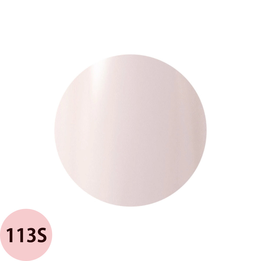 Raygel レイジェル カラージェル 全145色 シアー S （2） 4g（定形外 対応） |  | 01