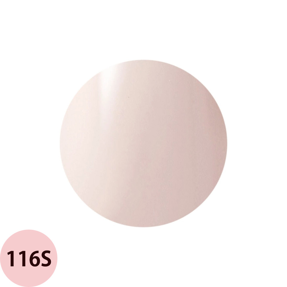 Raygel レイジェル カラージェル 全145色 シアー S （2） 4g（定形外 対応） |  | 04