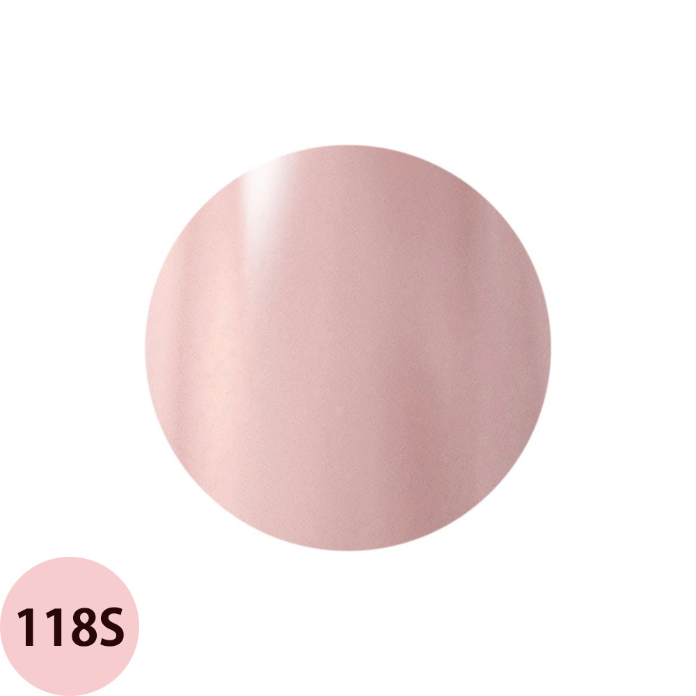 Raygel レイジェル カラージェル 全145色 シアー S （2） 4g（定形外 対応） |  | 06