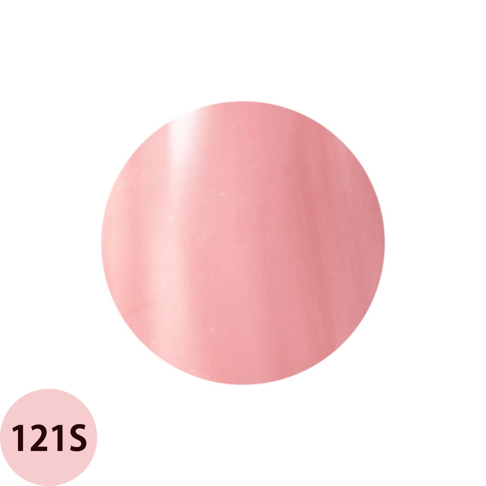 Raygel レイジェル カラージェル 全145色 シアー S （2） 4g（定形外 対応） |  | 09