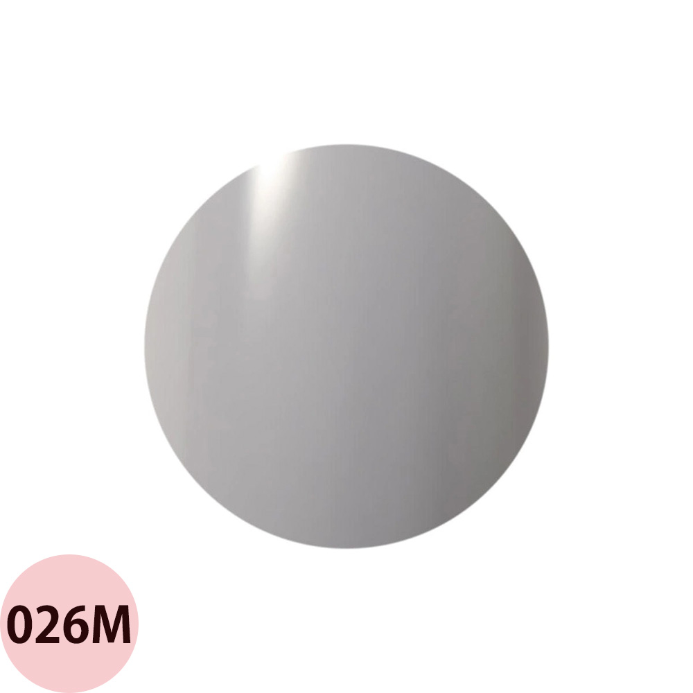 Raygel レイジェル カラージェル 全145色 マット M （1） 4g（定形外 対応） |  | 10