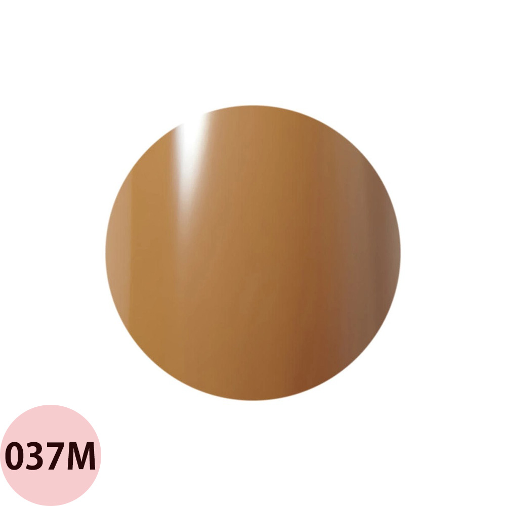 Raygel レイジェル カラージェル 全145色 マット M （1） 4g（定形外 対応） |  | 21