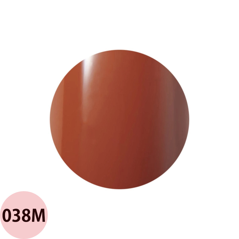 Raygel レイジェル カラージェル 全145色 マット M （1） 4g（定形外 対応） |  | 22