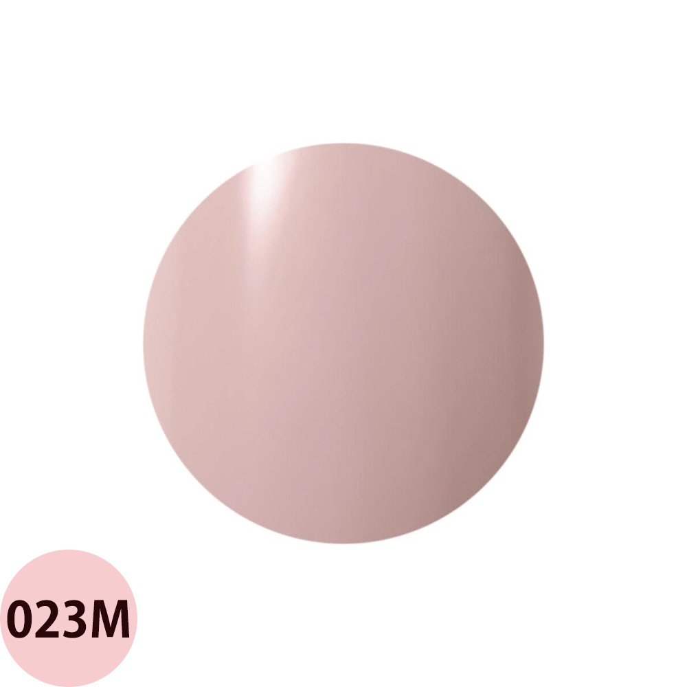 Raygel レイジェル カラージェル 全145色 マット M （1） 4g（定形外 対応） |  | 07