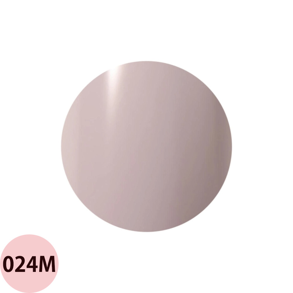 Raygel レイジェル カラージェル 全145色 マット M （1） 4g（定形外 対応） |  | 08