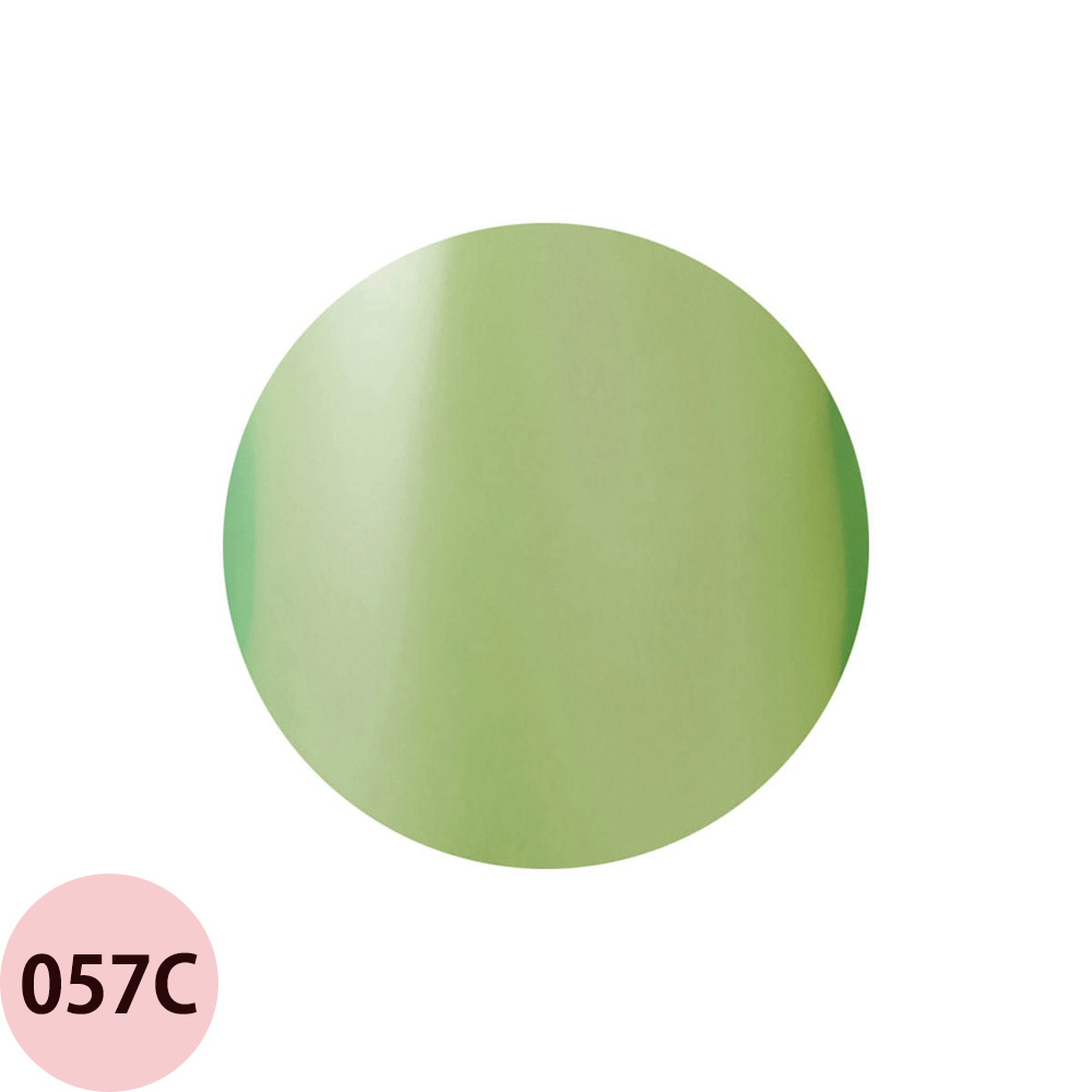 Raygel レイジェル カラージェル 全145色 クリア C 4g（定形外 対応