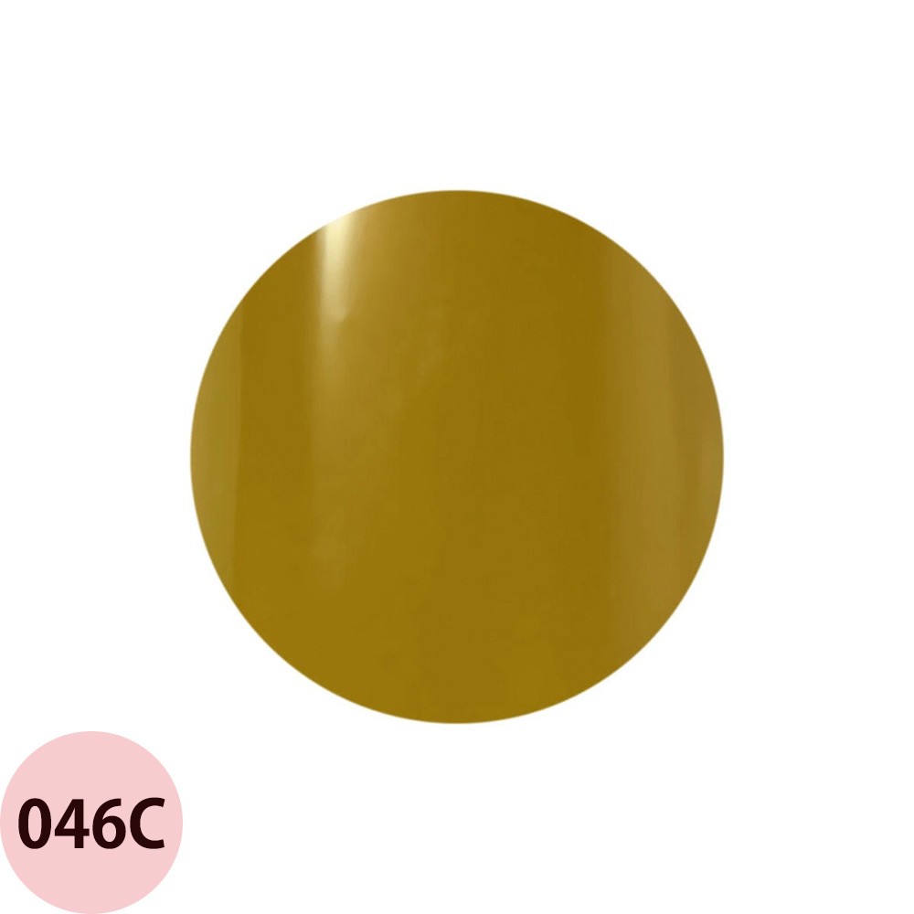 Raygel レイジェル カラージェル 全145色 クリア C 4g（定形外 対応