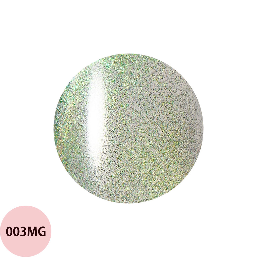 レイジェル マグネット カラージェル 大容量 001MG〜013MG（全26色