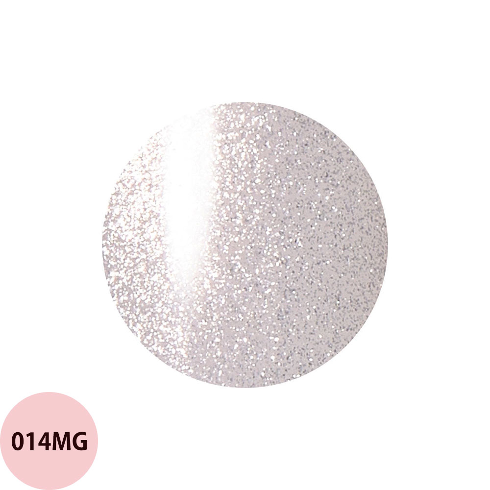 レイジェル マグネット カラージェル 大容量 014MG〜026MG（全26色） 10g ジェルネイル カラージェル ネイリスト サロン おすすめ 人気 定形外 対応 Raygel | ブランド登録なし | 01