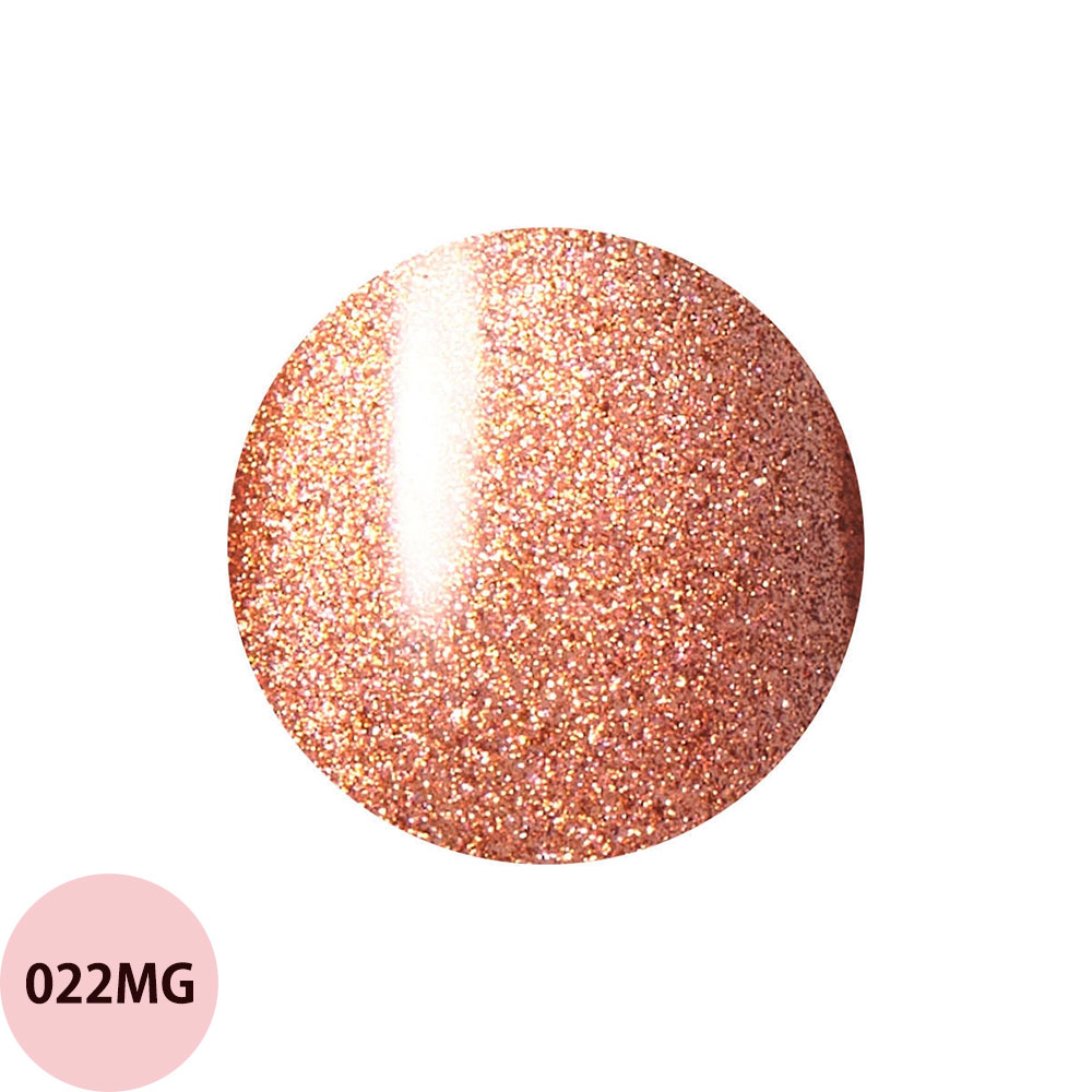 レイジェル マグネット カラージェル 大容量 014MG〜026MG（全26色） 10g ジェルネイル カラージェル ネイリスト サロン おすすめ 人気 定形外 対応 Raygel | ブランド登録なし | 09