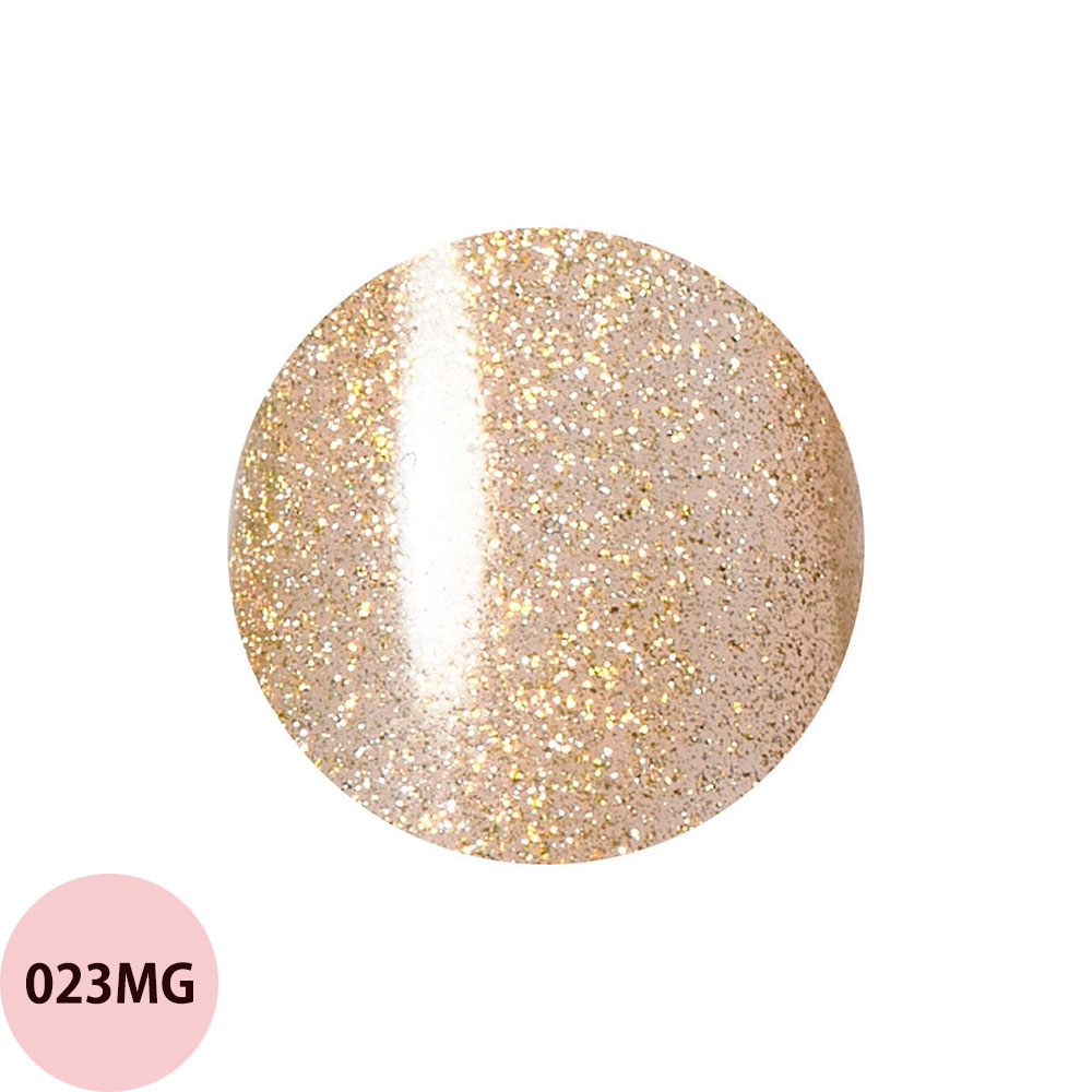 レイジェル マグネット カラージェル 大容量 014MG〜026MG（全26色） 10g ジェルネイル カラージェル ネイリスト サロン おすすめ 人気 定形外 対応 Raygel | ブランド登録なし | 10