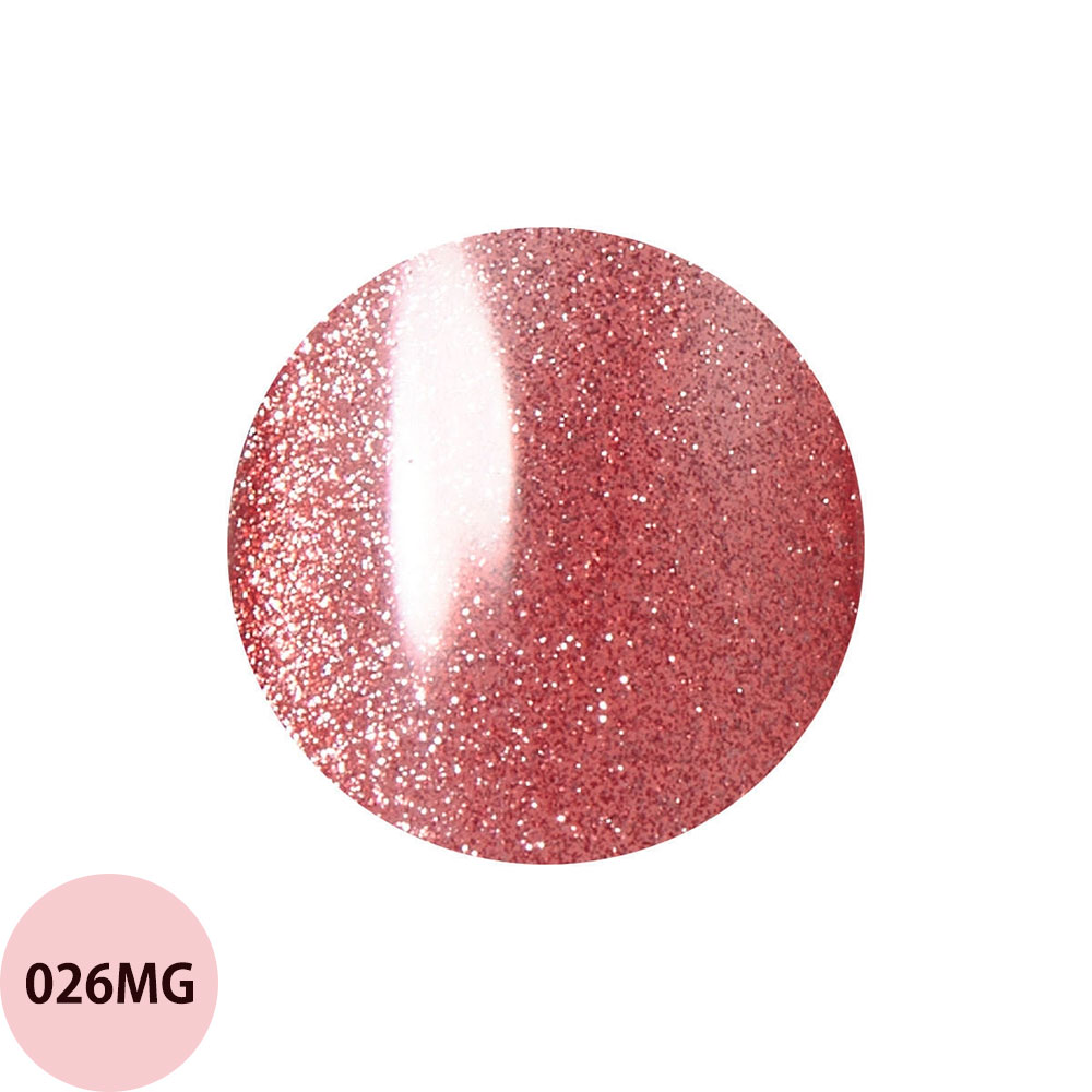 レイジェル マグネット カラージェル 大容量 014MG〜026MG（全26色） 10g ジェルネイル カラージェル ネイリスト サロン おすすめ 人気 定形外 対応 Raygel | ブランド登録なし | 13