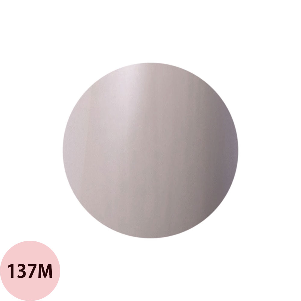 Raygel レイジェル カラージェル ヴィンテージカラー（全13色） / 4g （定形外 対応） | ブランド登録なし | 05