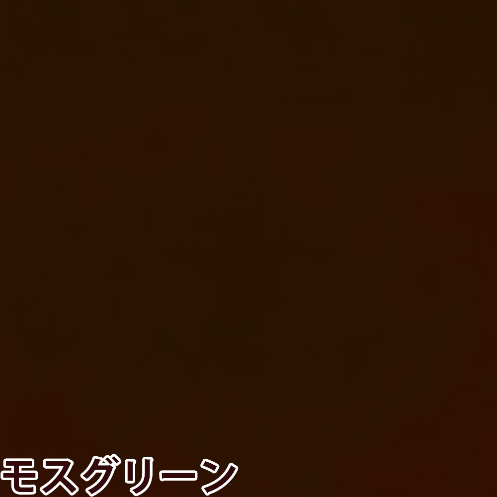 リビック 泉州タオル SR 国産カラータオル （全8色） / 220匁 12枚入 | 泉州タオル | 06