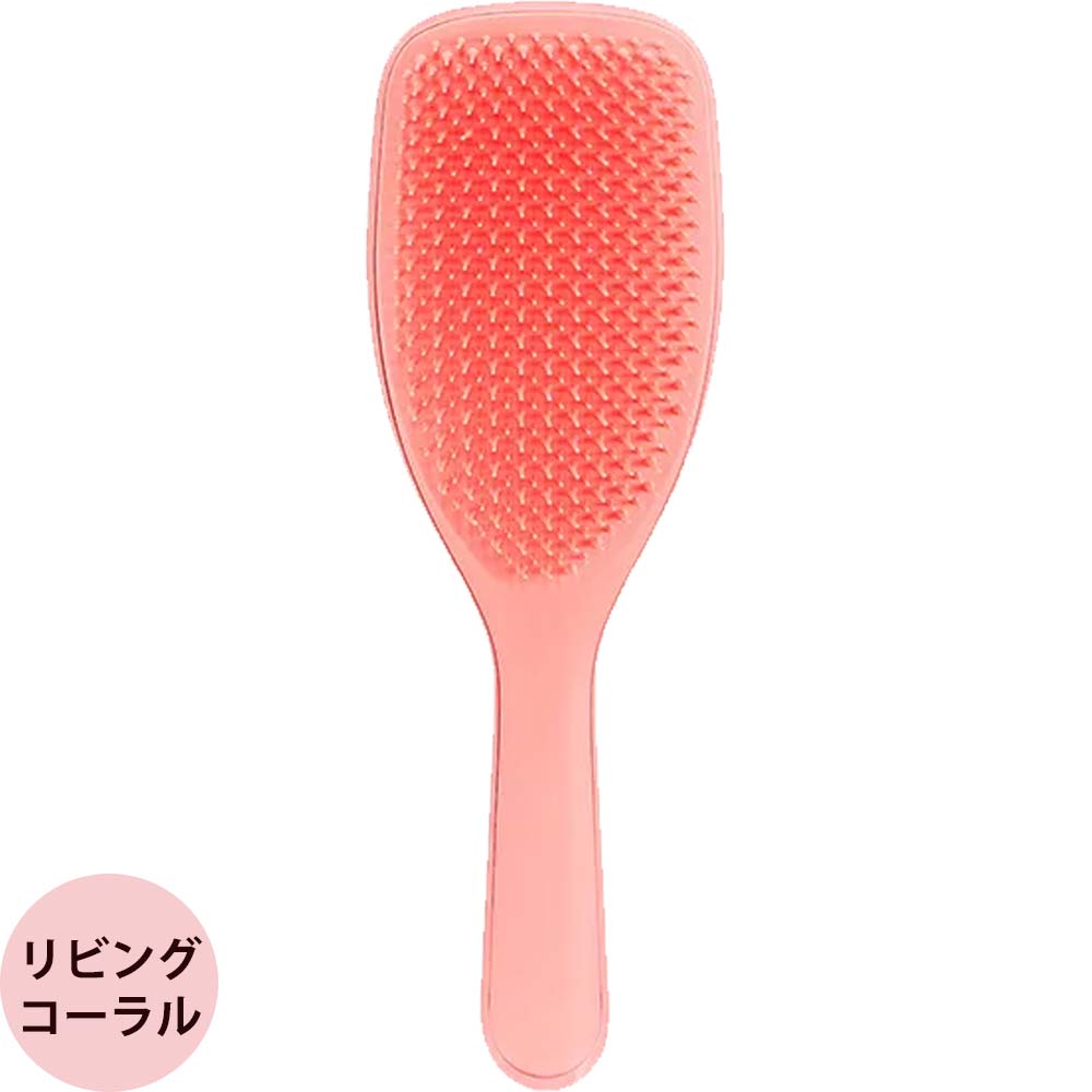 ヘアブラシ 濡れ髪用 タングルティーザー ザ・ウェットディタングラーPro 全3色 トリートメント ブラシ 頭皮ケア ブラッシング 髪 サロン仕様 TANGLE TEEZER | TANGLE TEEZER | 02