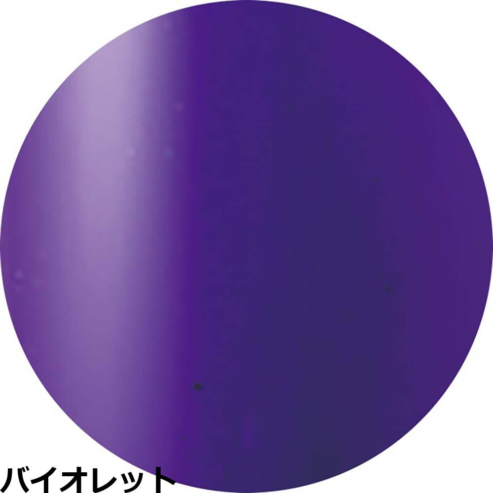 ベトロ ジェル ナンバージューク カラージェル VETRO No.19 （VL055A