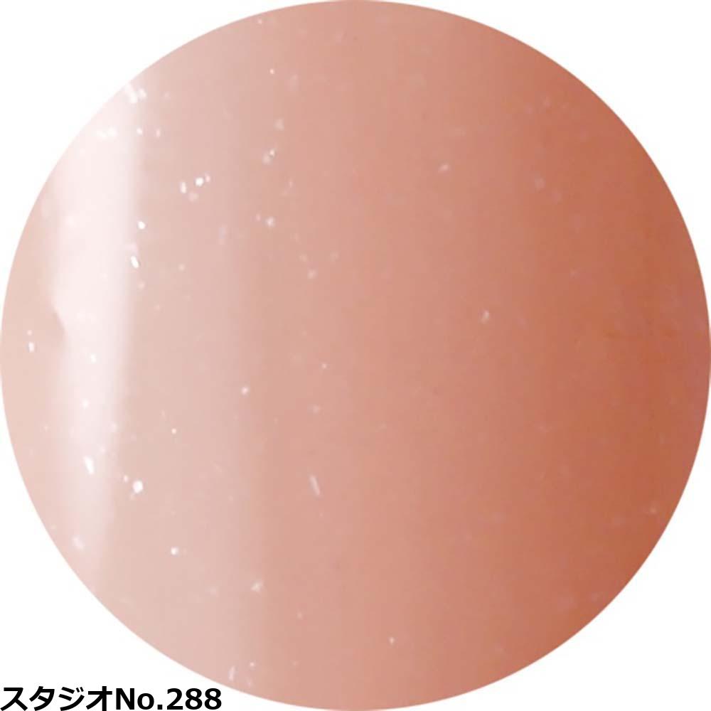 べトロジェル ベトロ ジェル ナンバージューク カラージェル VETRO No.19