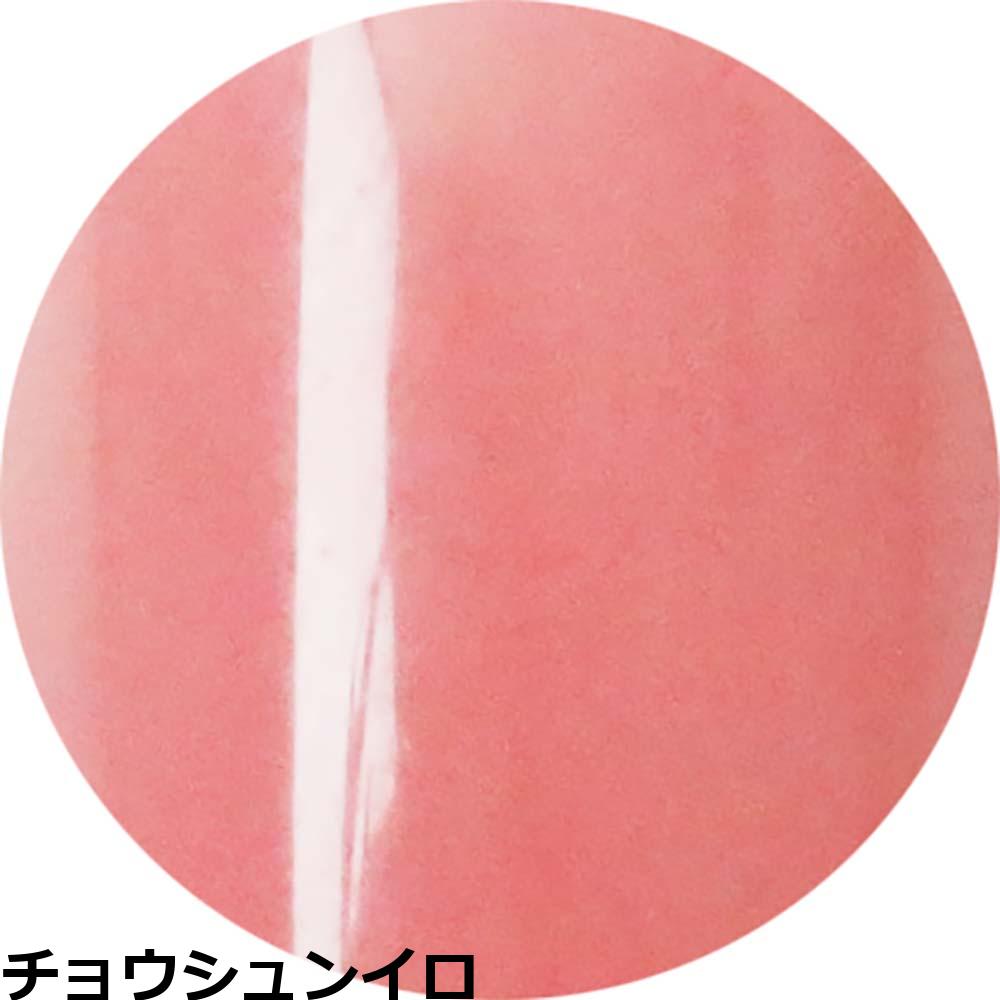 ベトロ ジェル ベトロ ナンバージューク カラージェル VETRO No.19 （VL385A〜VL404A） 4mL ジェルネイル プロ ネイリスト サロン 人気 全302色 定形外 対応 | ブランド登録なし | 13