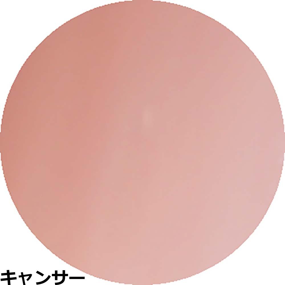 ベトロ ジェル ベトロ ナンバージューク カラージェル VETRO No.19 （VL425〜VL444） 4mL ジェルネイル プロ ネイリスト サロン 人気 全302色 定形外 対応 | ブランド登録なし | 11