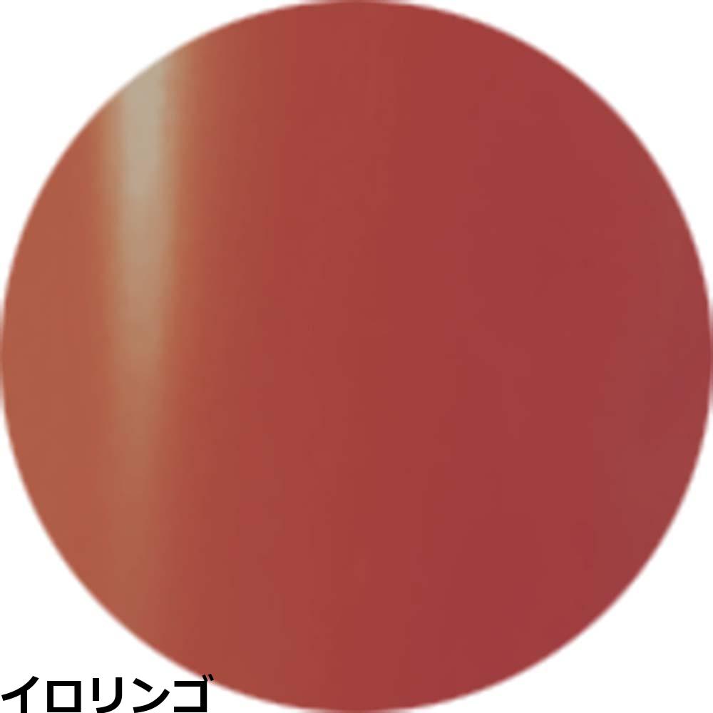 ベトロ ジェル ナンバージューク カラージェル VETRO No.19