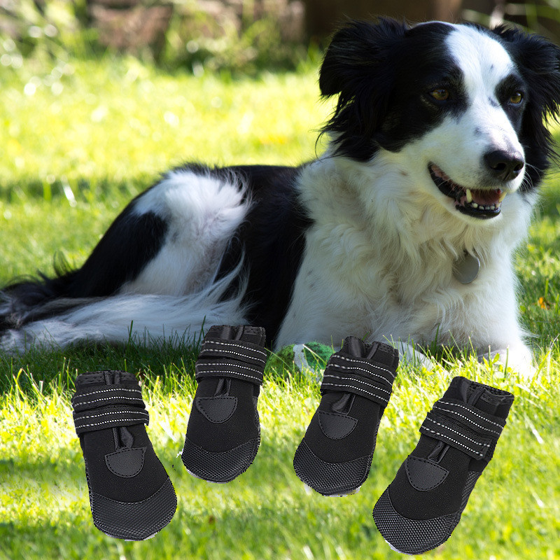 犬用靴 ブーツ ドッグシューズ ペットシューズ 靴下 犬の靴 犬靴 ペット用品 小型犬 メッシュ マジックテープ仕様 通気性 3m反射付き 39jun21cwx03 ネットショップ山口 通販 Yahoo ショッピング 犬用靴 ブーツ ドッグシューズ ペットシューズ 靴下 犬の靴 犬靴 ペット用品 小型犬 メッシュ マジックテープ仕様 通気性 3m反射付き 39jun21cwx03 ネットショップ山口 通販 Yahoo ショッピング