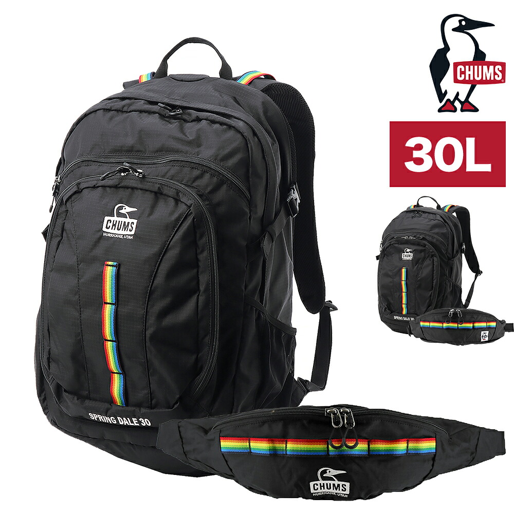 最大42％ チャムス バッグ リュック バックパック ザックパック 登山 CHUMS スプリングデール30 30L B4 A4 CH60-3998 CH60-4097 メンズ レディースの画像