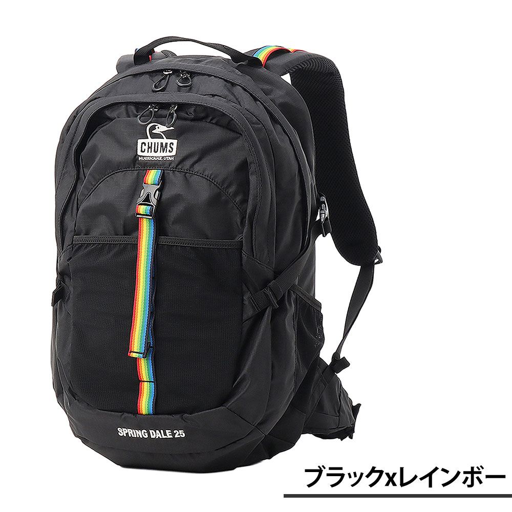 CHUMS（チャムス） 最大P+16% バッグ リュック バックパック ザック