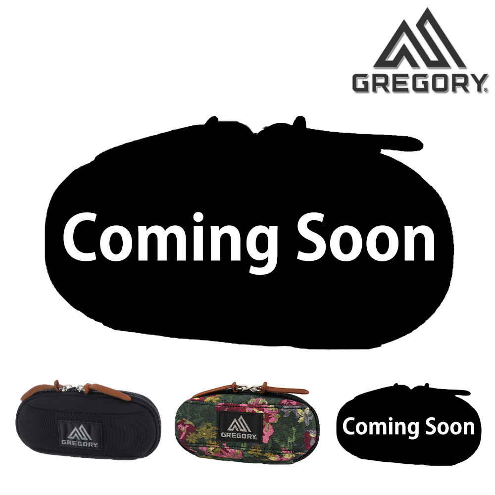GREGORY 最大P+16% グレゴリー サングラスケース メガネケース