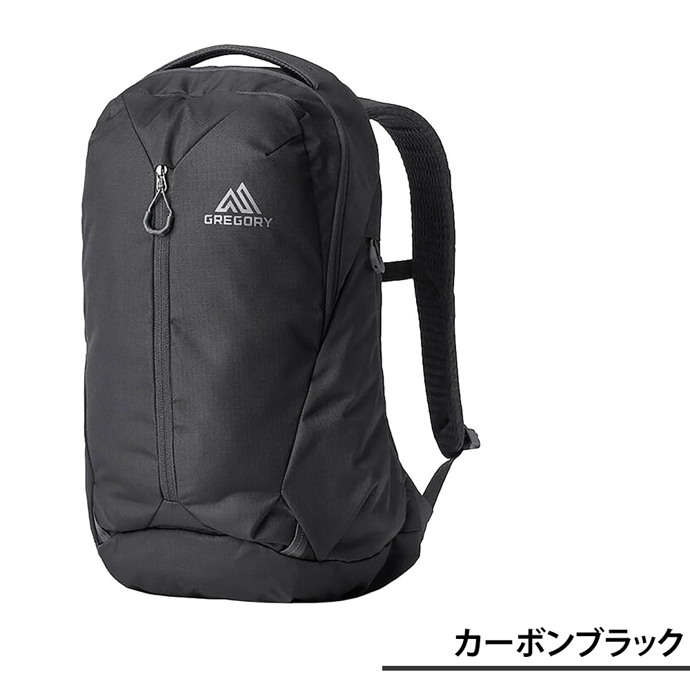GREGORY グレゴリー リュック リュックサック バッグ デイパック