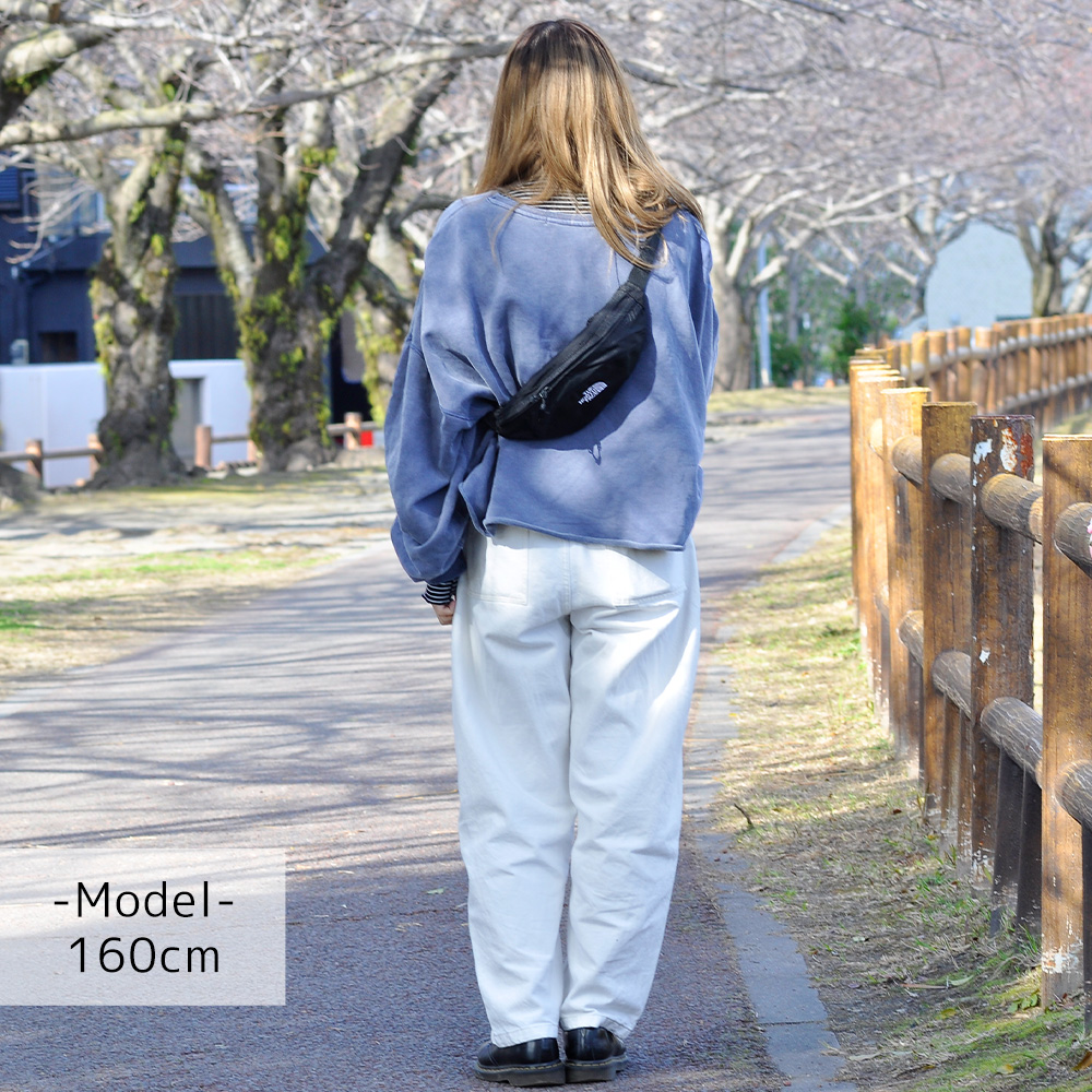 THE NORTH FACE ウエストバック THE NORTH FACE（ザ ノースフェイス） 最大42％ ノースフェイス