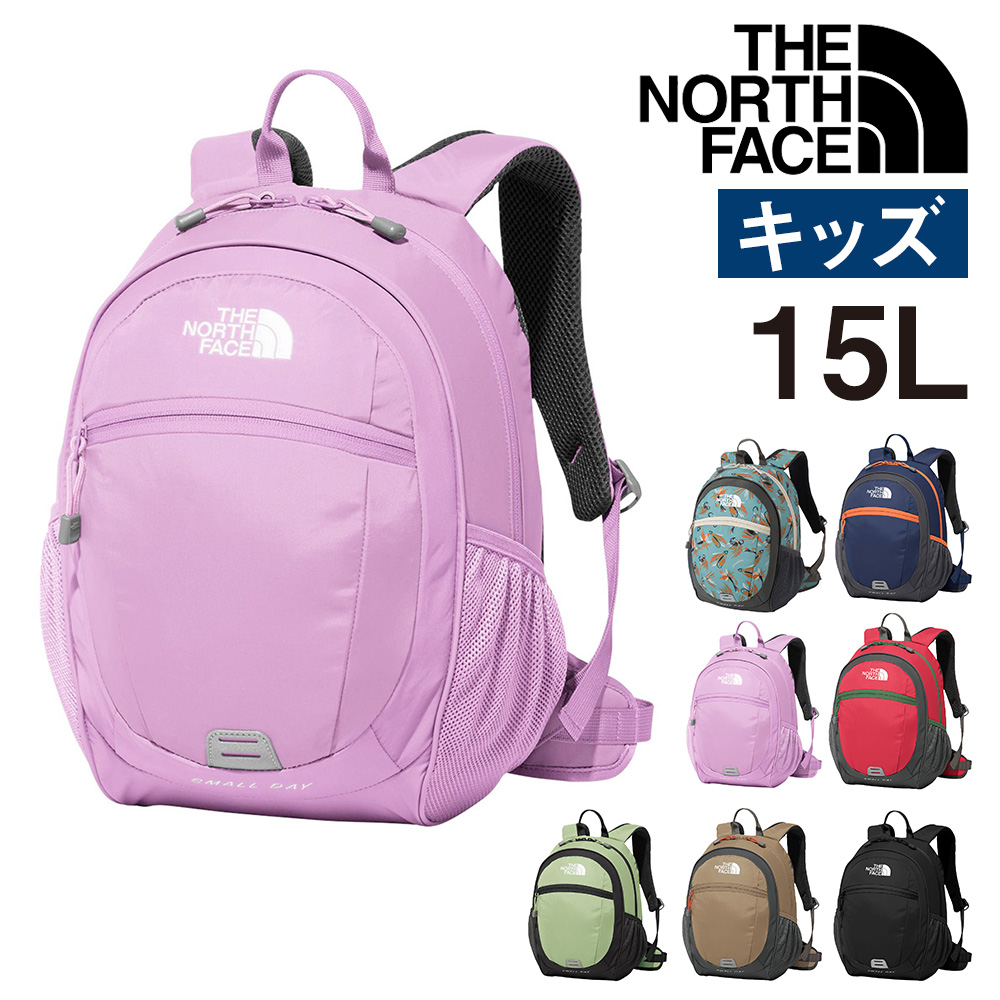 15L☆ スモーキーグレープ☆スモールデイ☆ノースフェイス