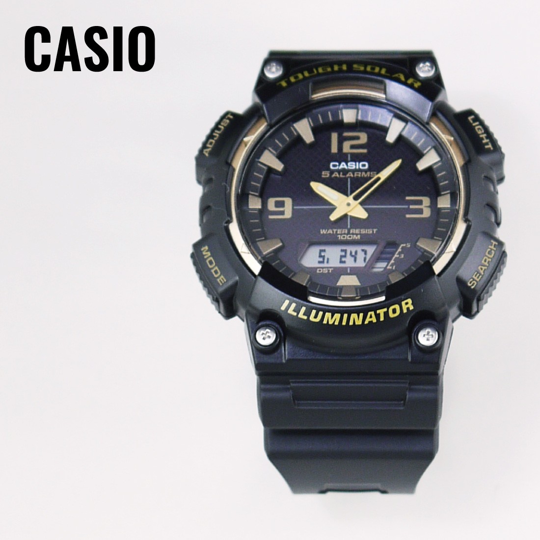 casio 810w