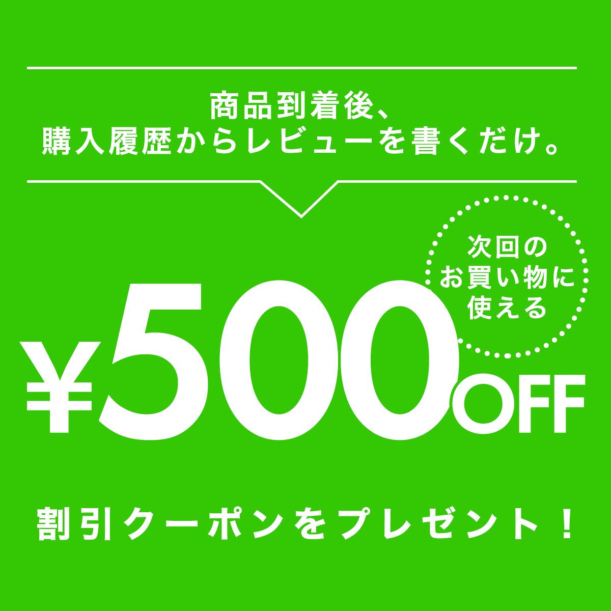 レビュー