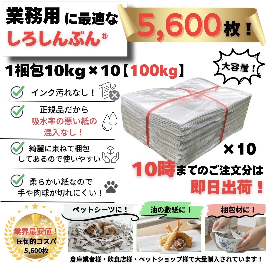 白新聞紙 100kg 5,600枚 業務用 810×545mm 10kgあたり2,300円 インクで