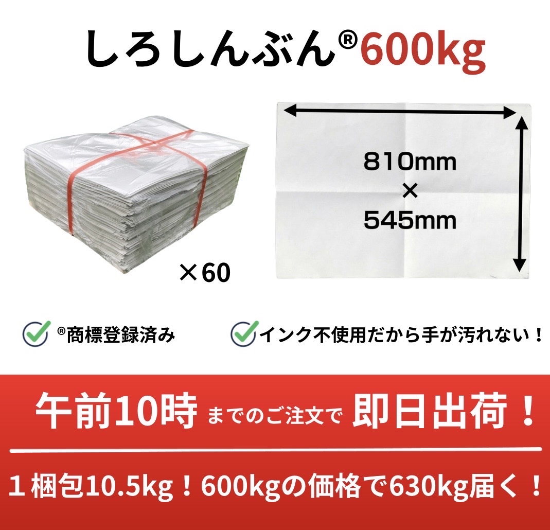 しろしんぶん600kg 高品質ながら最安値に挑戦