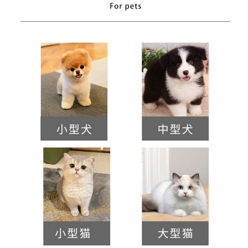 ハロウィン 犬 服 猫 首輪 チョーカー コスプレ 仮装 くびわ 猫の首輪