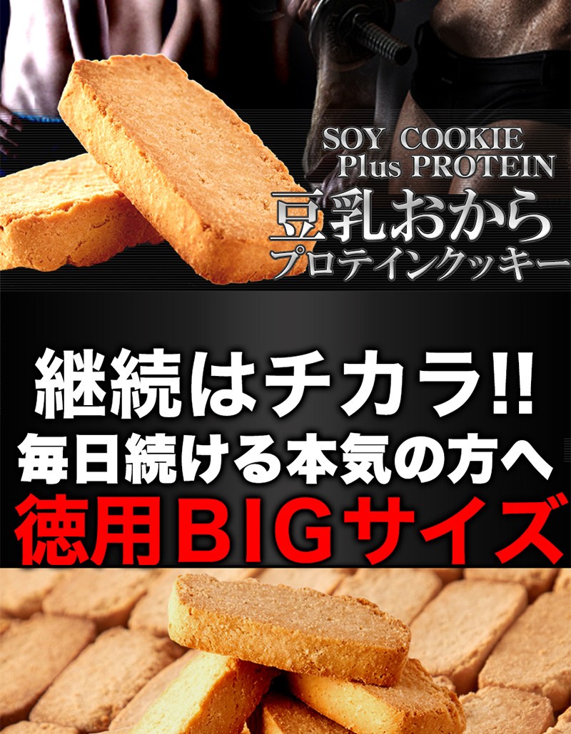 早い者勝ち 冬セール ソイプロテインplus 豆乳おからプロテイン