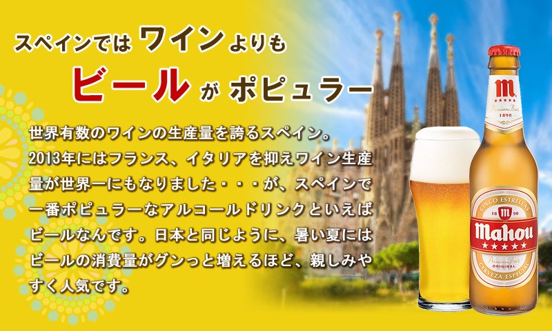 送料無料 海外ビールセット スペインビール6本セット （北海道・沖縄