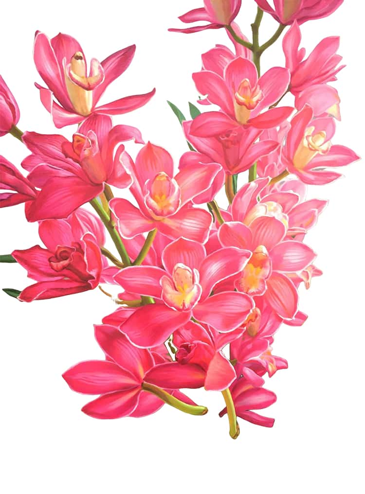 ダイヤモンドアート　ビーズアート　ラウンドビーズ　30×40　花　フラワー　植物 ダイヤモンドアート キット 花 ペン 【選べる2枚セット】 フラワー 30