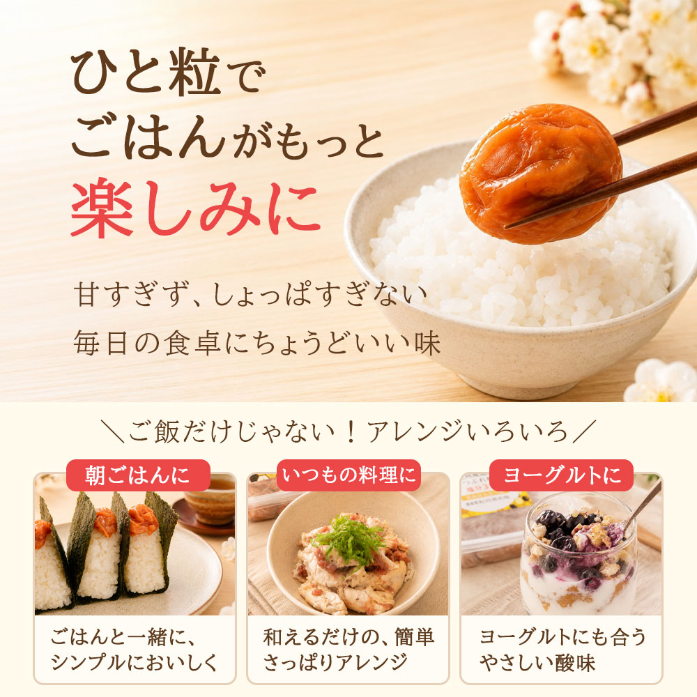 梅干し 訳あり はちみつ梅 1.6kg(400g×4) 大粒 完熟 減塩 塩分3% 紀州