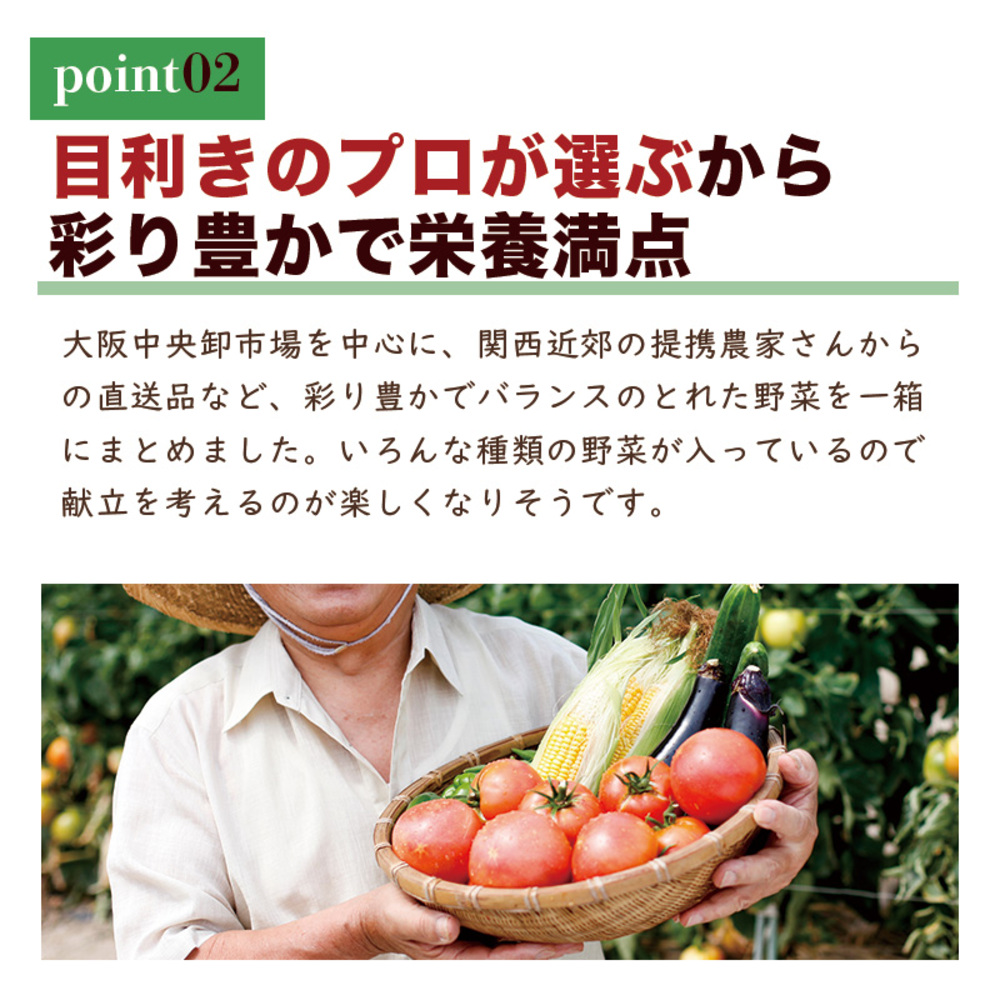 rain様野菜セット 果物追加 卵 BF058 【6回定期便】旬の野菜・フルーツ (12〜14品目)・卵 (6個